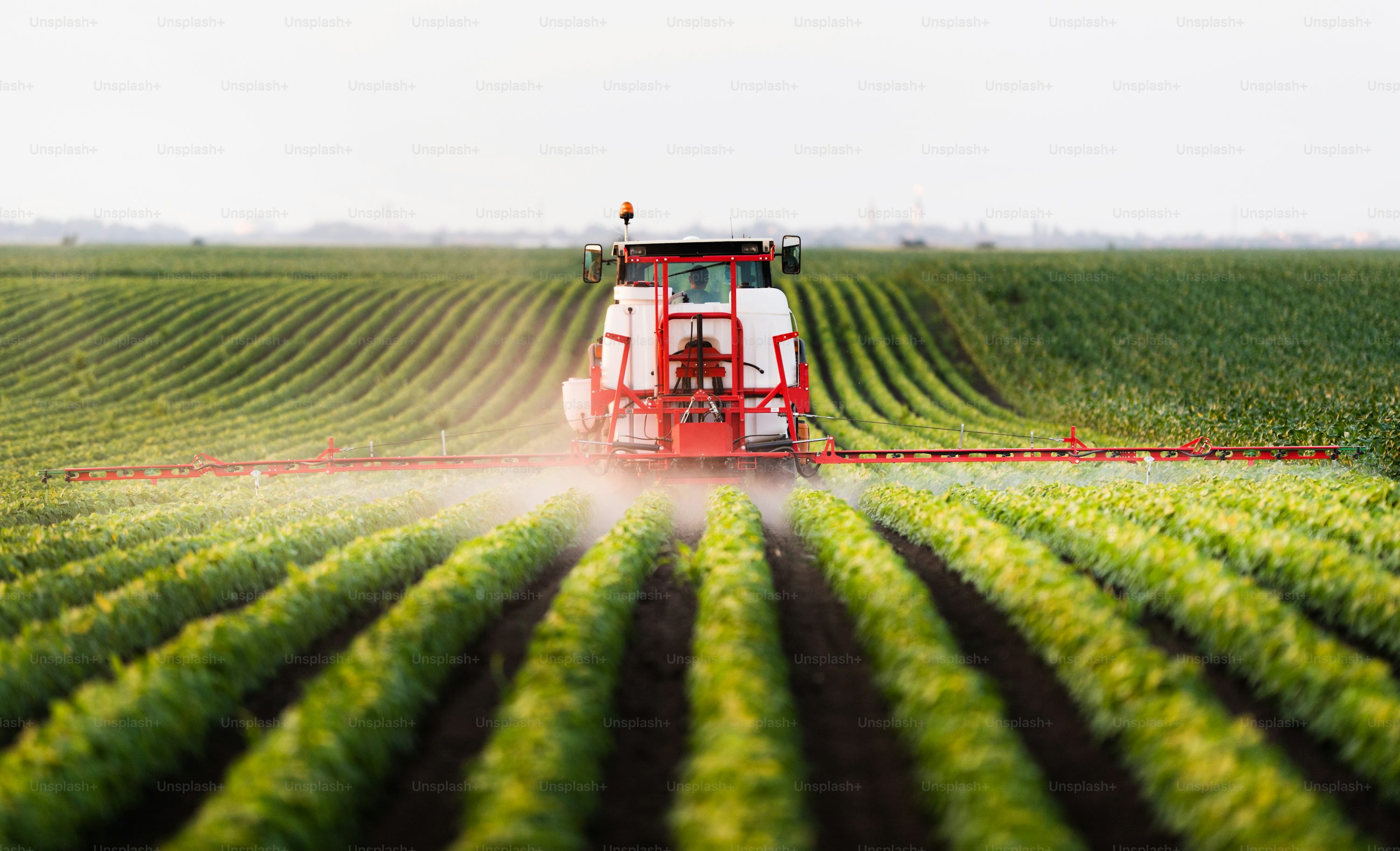 Agro Commodities